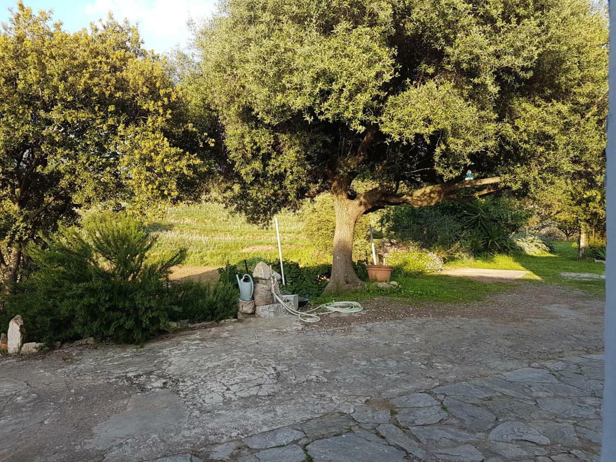 Un Charme Absolu Villa Bastelicaccia Екстериор снимка